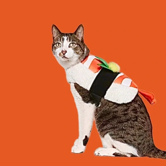 PET SUSHI COSTUME NWT - Picture 12 of 12